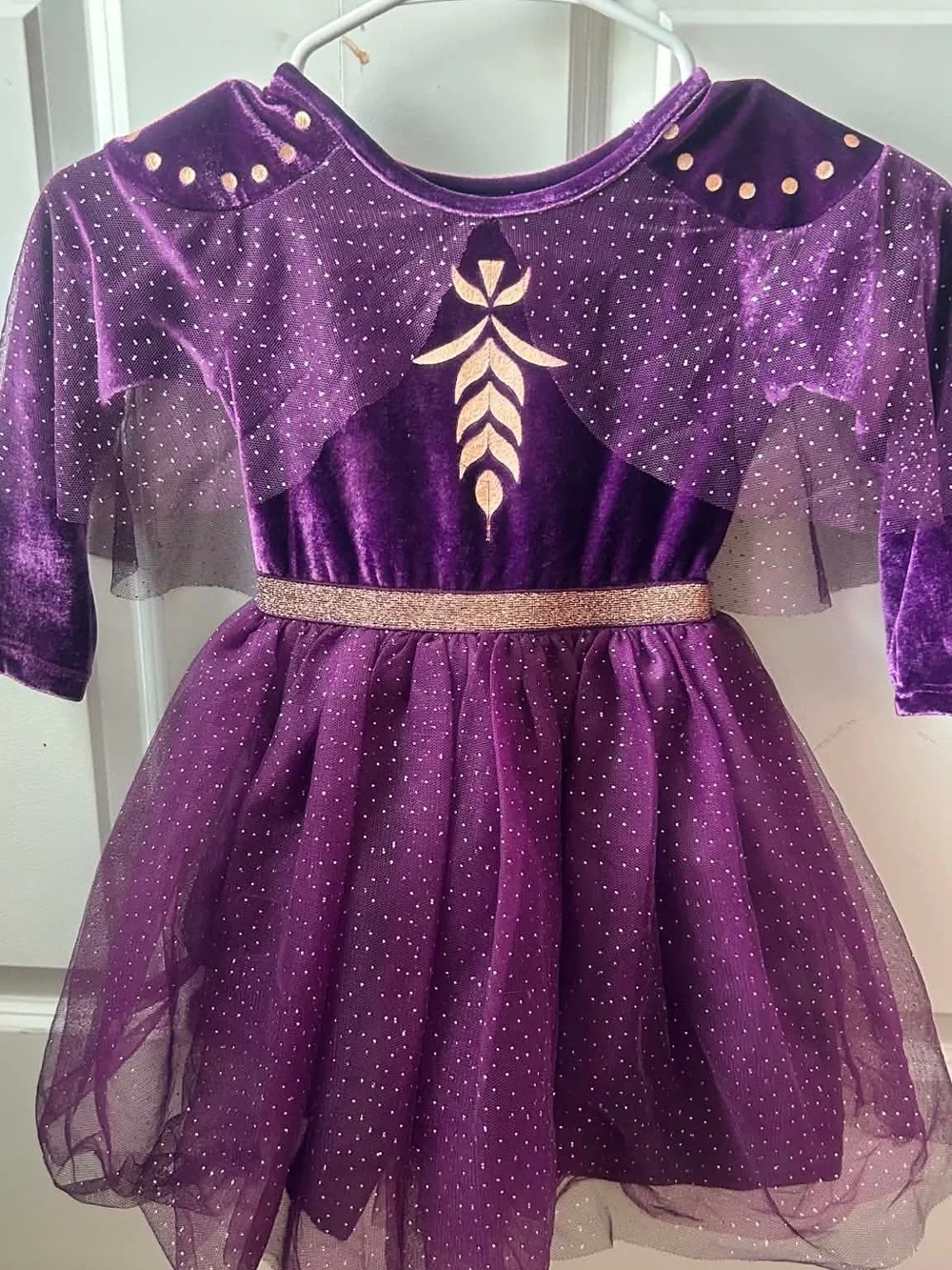 Purple Gold-Accent Girls' Velvet Princess Costume Dress